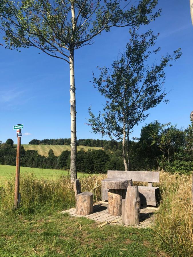 Ferienhaus Erzgebirge An der Trebe mit Kamin und Sauna Neuhausen  Exterior foto