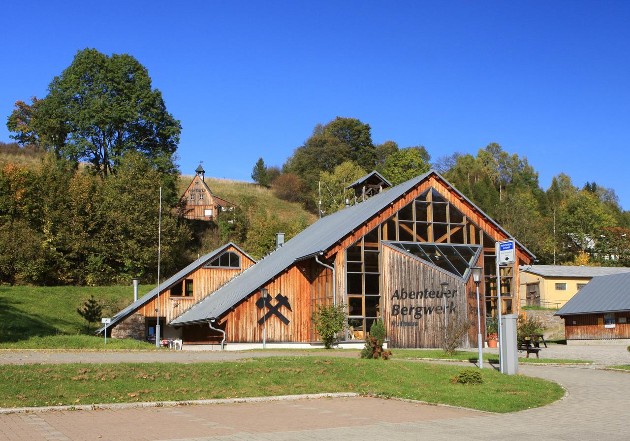 Ferienhaus Erzgebirge An der Trebe mit Kamin und Sauna Neuhausen  Exterior foto